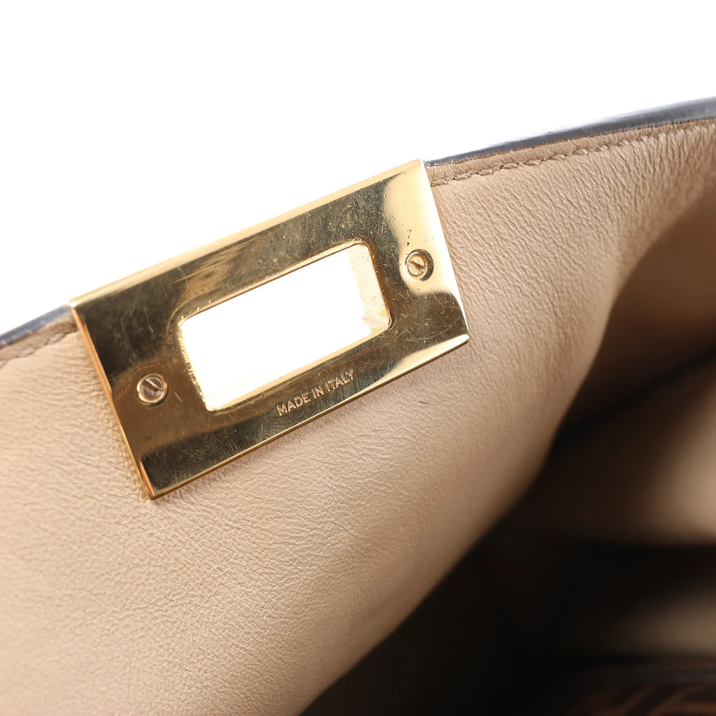 Fendi Peekaboo X-light Leather 2Way Handbag in Brown 8BN310