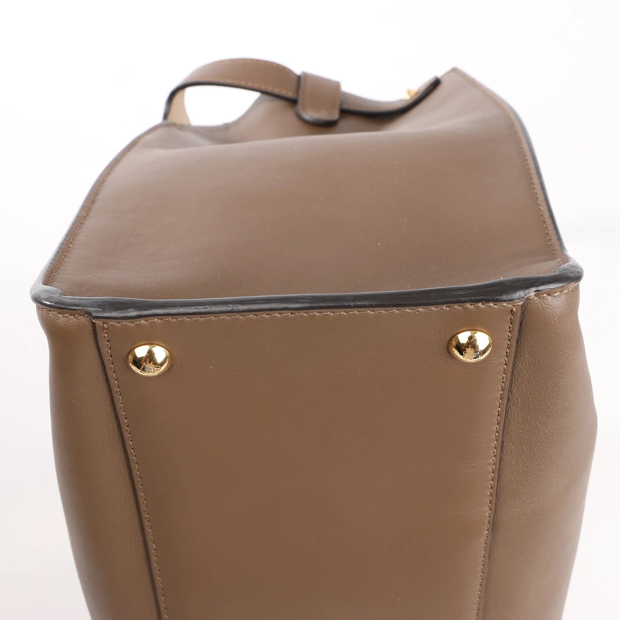 Fendi Peekaboo X-light Large Leather Handbag in Brown 8BN304