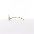 Gucci GG0352S 002 Sunglasses in Brown