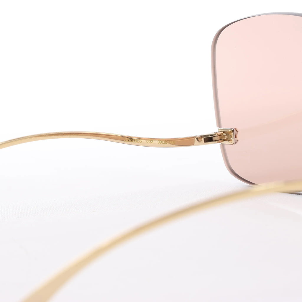 Gucci GG0352S 002 Sunglasses in Brown