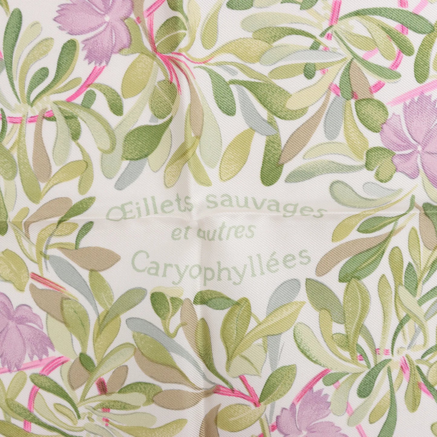 Hermès Carré 90 "OEillets sauvages et autres Caryophyllees" Silk handkerchief in Green