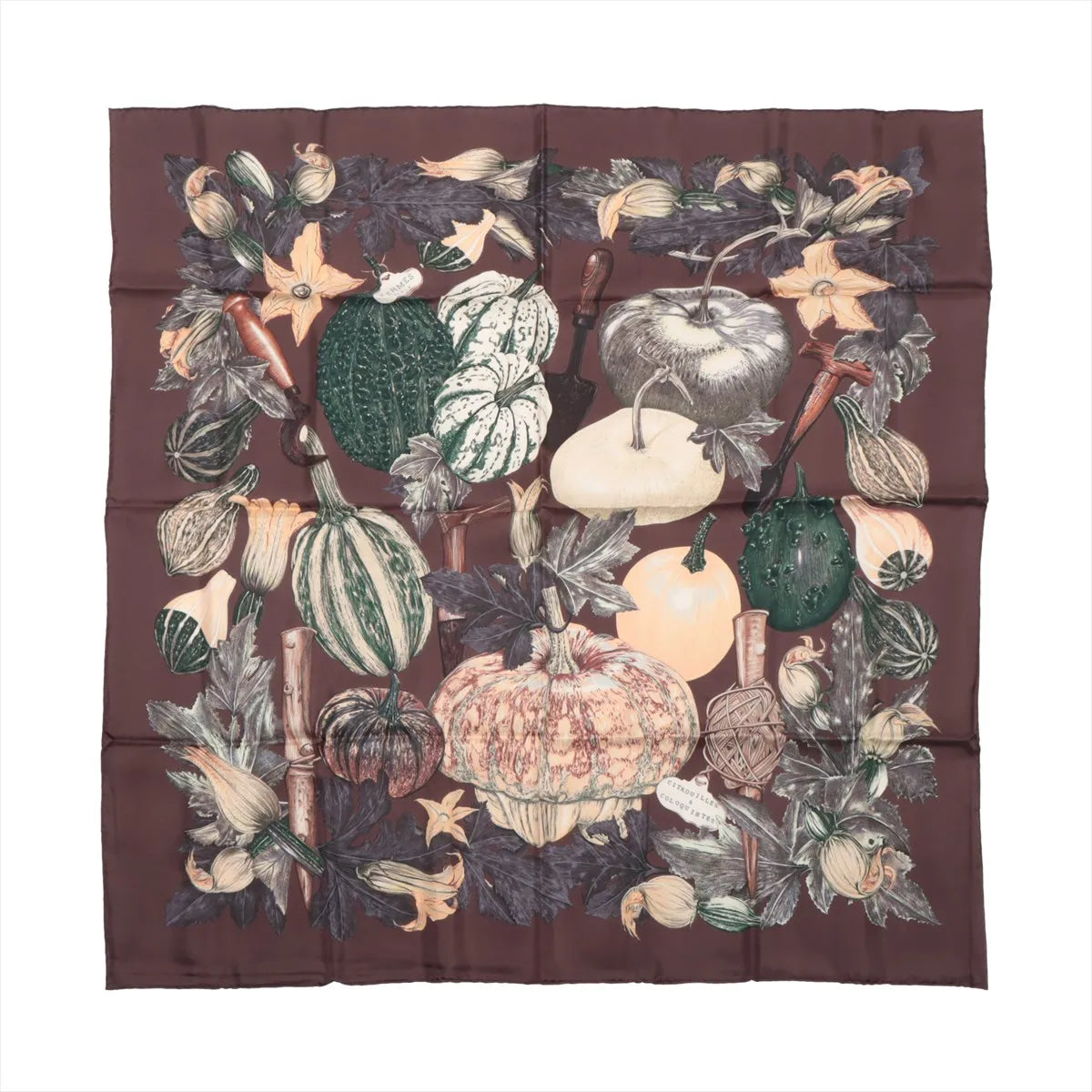 Hermès Carré 90 silk scarf titled “Citrouilles & Coloquintes” featuring various gourds, squash, and leafy vines in muted green, cream, and orange tones on a brown background.