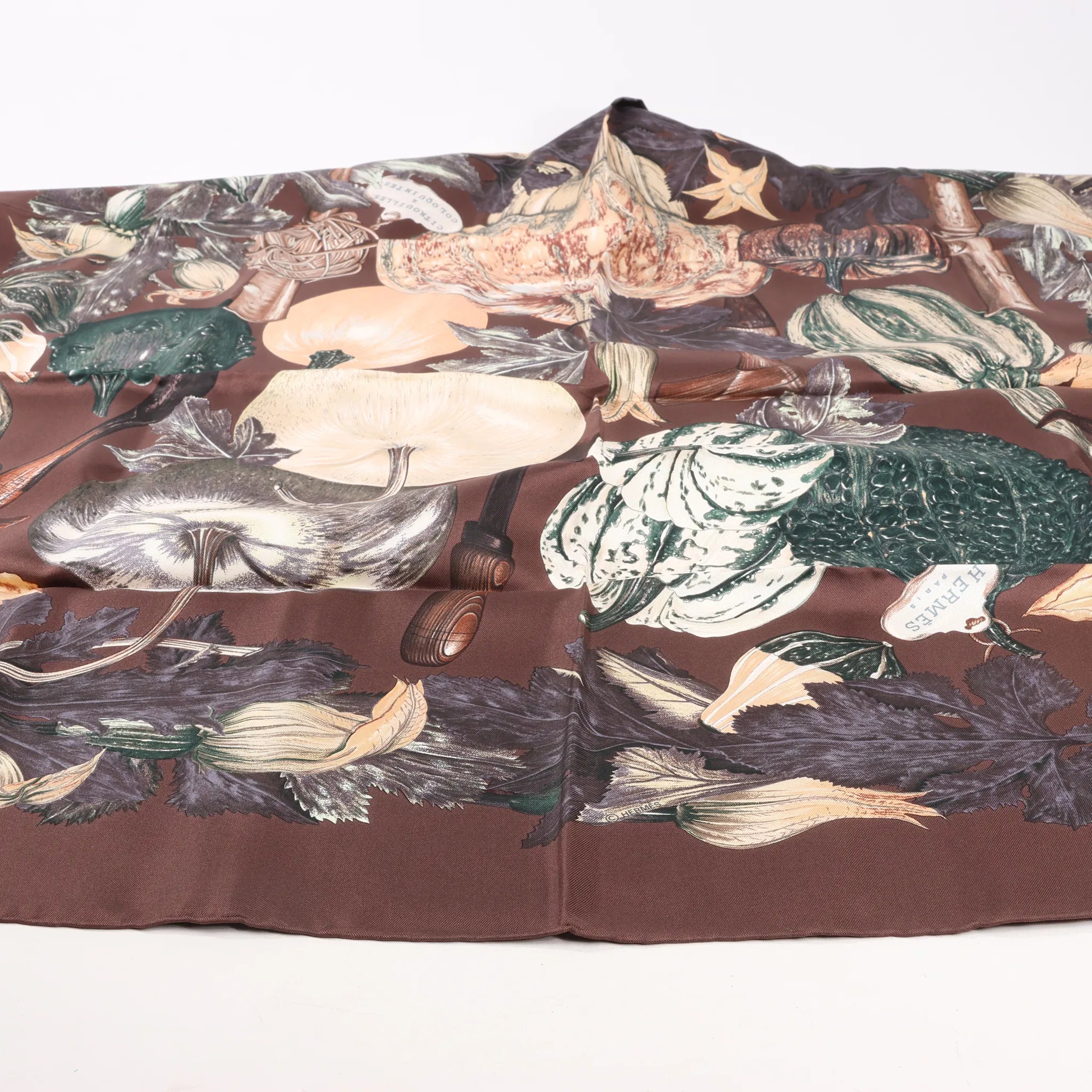Hermès Carré 90 "CITROUILLES&COLOQU INTES" Silk handkerchief in Brown