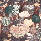 Hermès Carré 90 "CITROUILLES&COLOQU INTES" Silk handkerchief in Brown