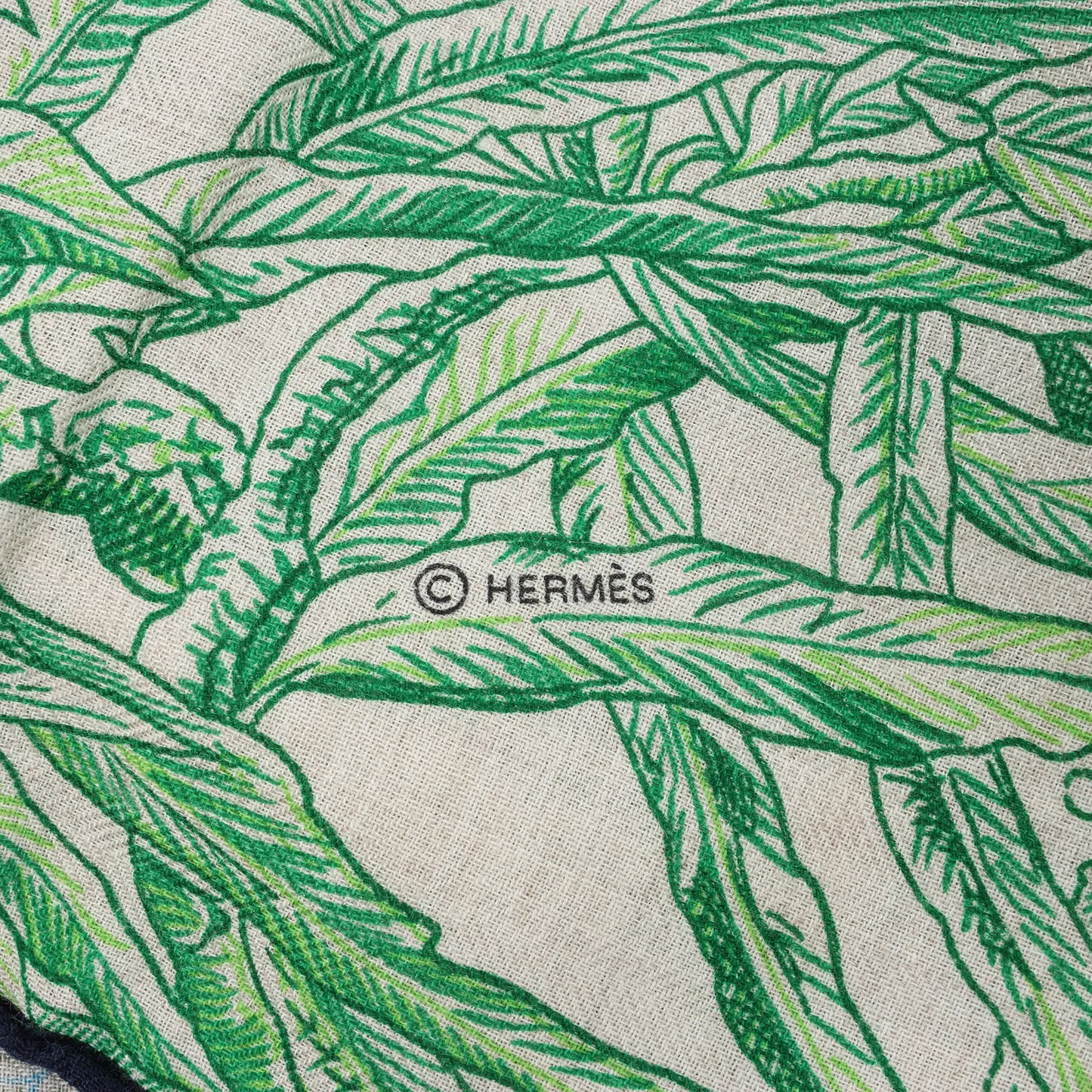 Hermès Carré Geant "BOTANICO DI PALERMO" Cashmere and Silk Scarf in Green