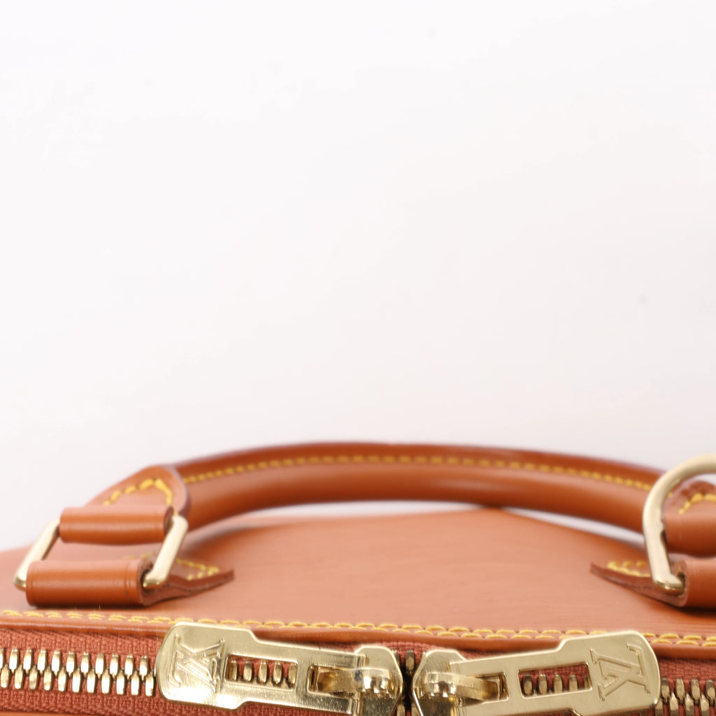 Louis Vuitton Alma PM Epi Leather 2Way Handbag in Brown