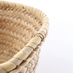 LOEWE Basket Medium Raffia x Leather Handbag in Beige x Brown