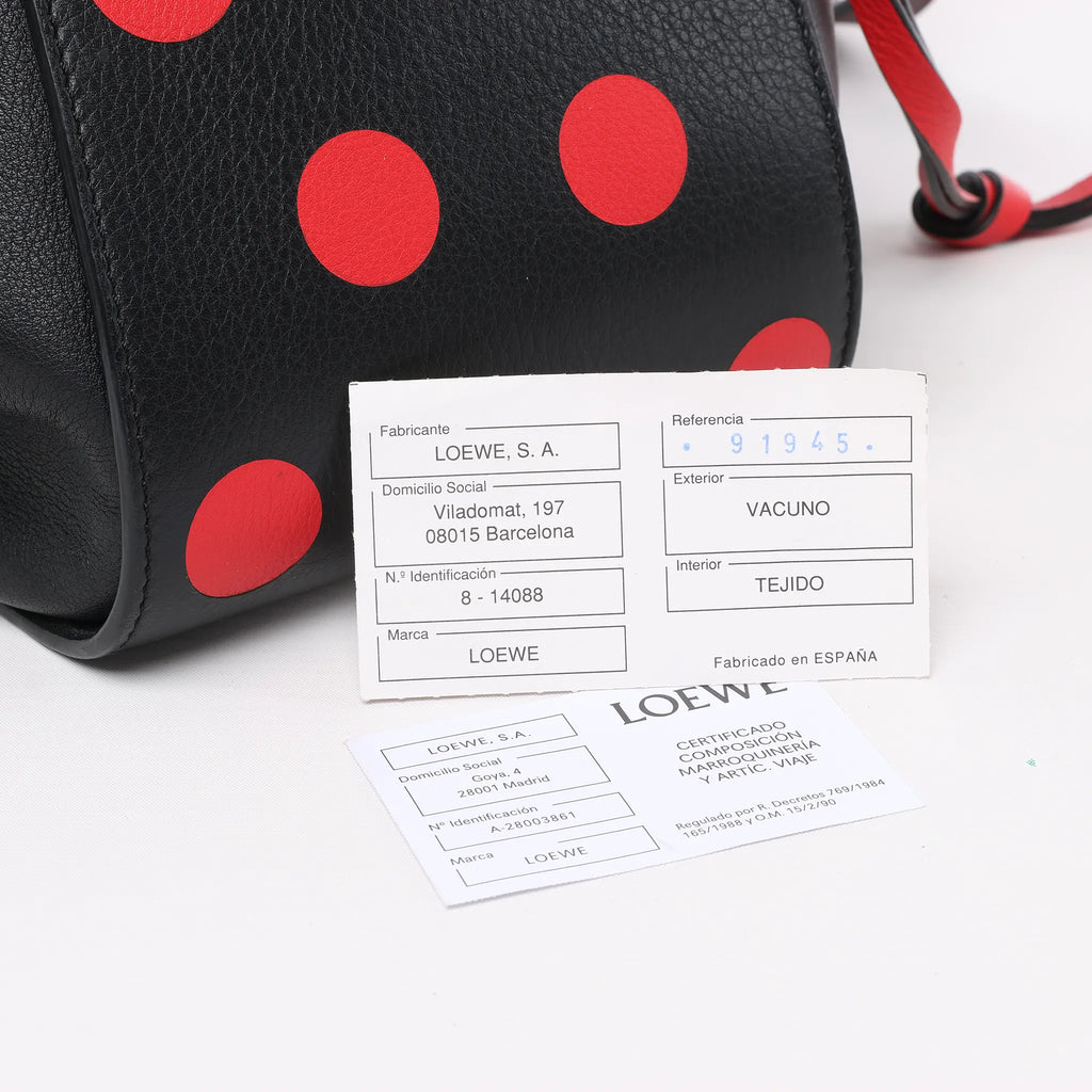 LOEWE Hammock Small Leather 2Way Handbag in Black x Red