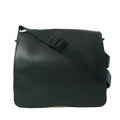 Louis Vuitton Viktor Taiga Leather Shoulder Bag in Green M30144