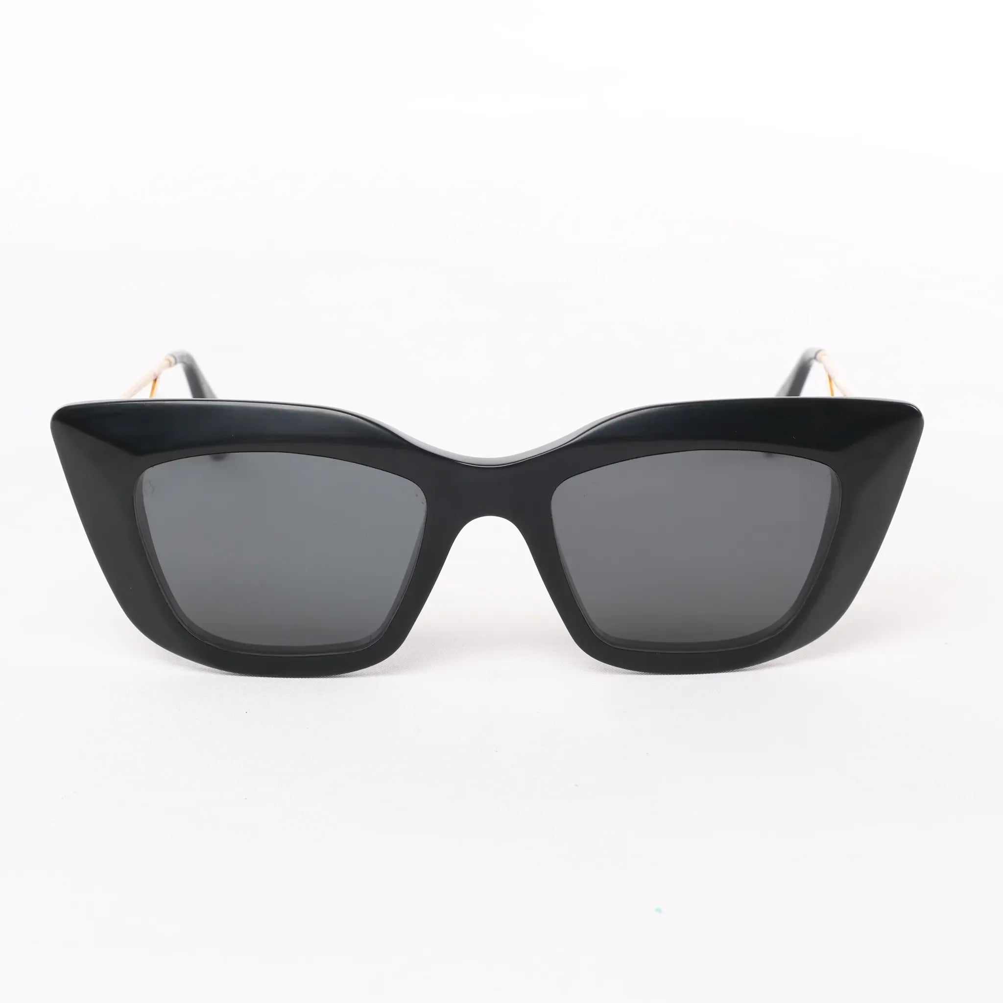 Louis Vuitton Acetate Arizona Dream Sunglasses in Black Z1220W