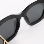 Louis Vuitton Acetate Arizona Dream Sunglasses in Black Z1220W