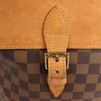 Louis Vuitton Damier Ebene Arlequin Backpack N99038