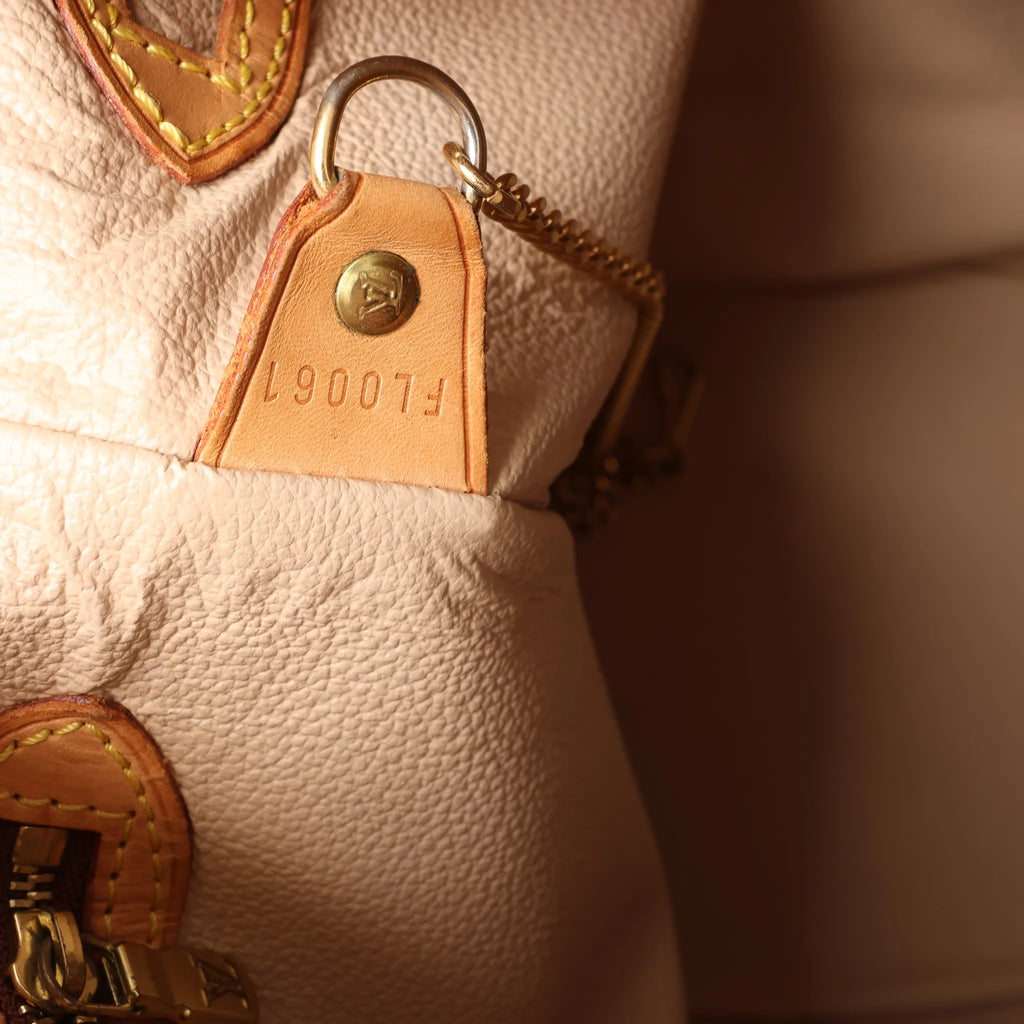 Louis Vuitton Bucket PM Monogram Canvas Shoulder Bag in Brown M42238