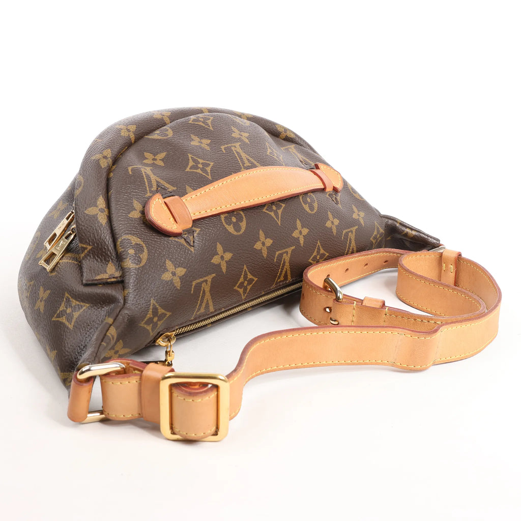 Louis Vuitton Bum Bag Monogram Canvas Crossbody Bag in Brown M43644