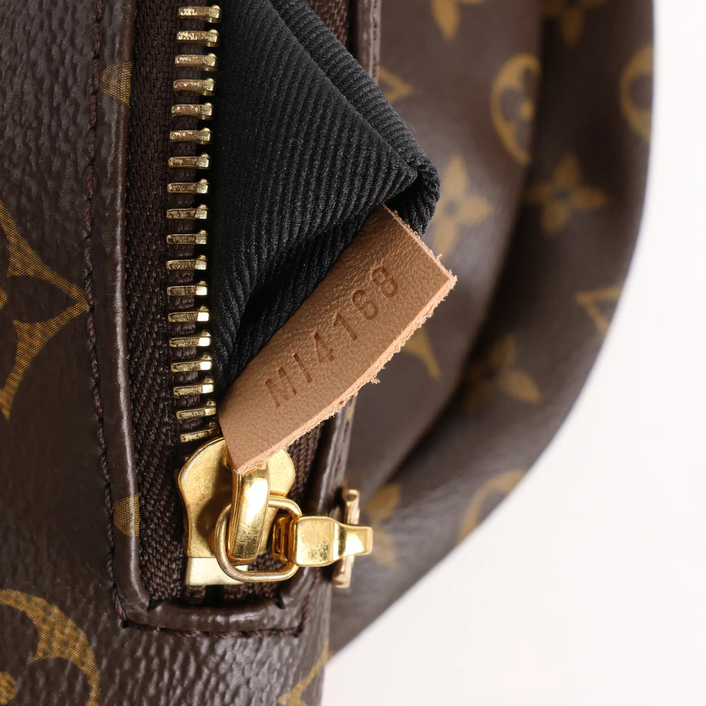 Louis Vuitton Bum Bag Monogram Canvas Crossbody Bag in Brown M43644