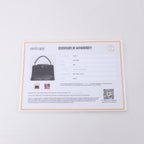 Louis Vuitton Capucines MM Parnassea Handbag in Black M48864