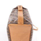 Louis Vuitton Columbine Damier Ebene Shoulder Bag in Brown N99037