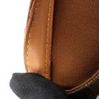 Louis Vuitton Columbine Damier Ebene Shoulder Bag in Brown N99037