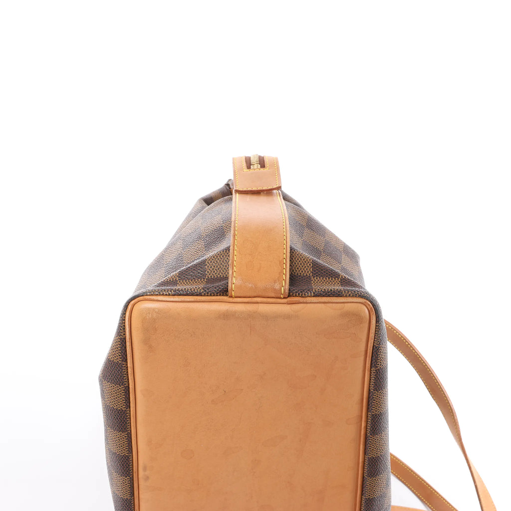 Louis Vuitton Columbine Damier Ebene Shoulder Bag in Brown N99037