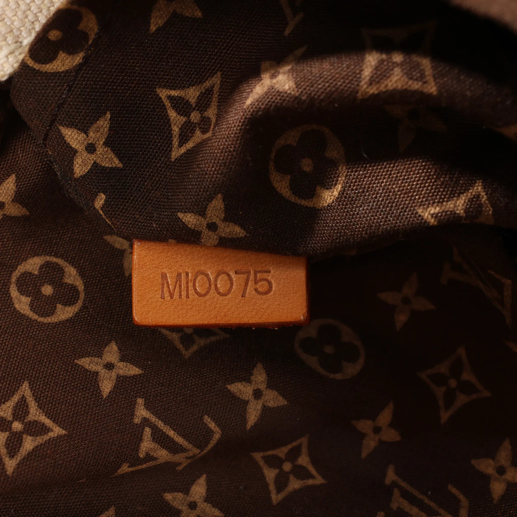 Louis Vuitton Toile Globe GM Limited Edition Cloth Handbag in Beige M95110