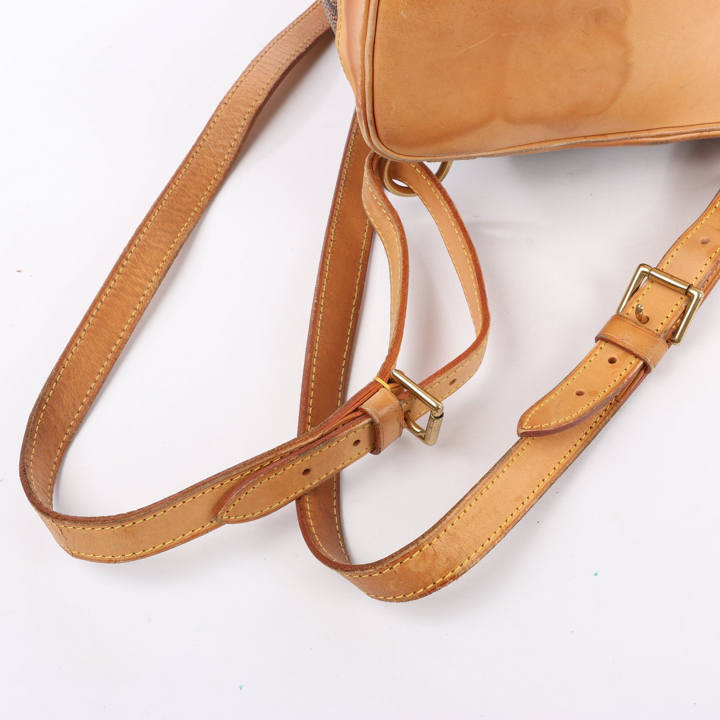 Louis Vuitton Damier Ebene Arlequin Backpack N99038
