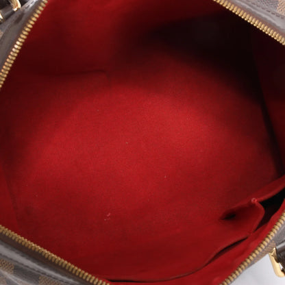 Louis Vuitton Damier Ebene Berkeley Handbag N52000