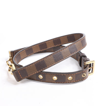 Louis Vuitton Damier Ebene Greenwich 2Way Handbag in Brown N41337