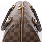 Louis Vuitton Damier Ebene Ribera MM Handbag N41434