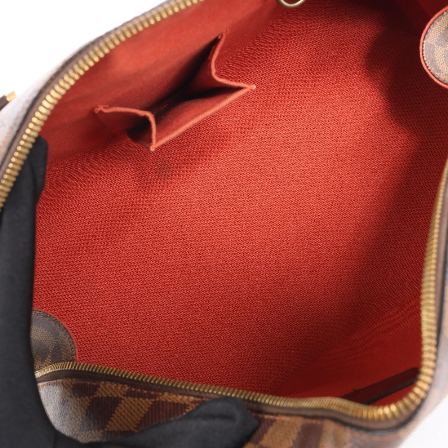 Louis Vuitton Damier Ebene Ribera MM Handbag N41434