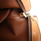 Louis Vuitton Drouot Monogram Canvas Crossbody Bag in Brown M51290