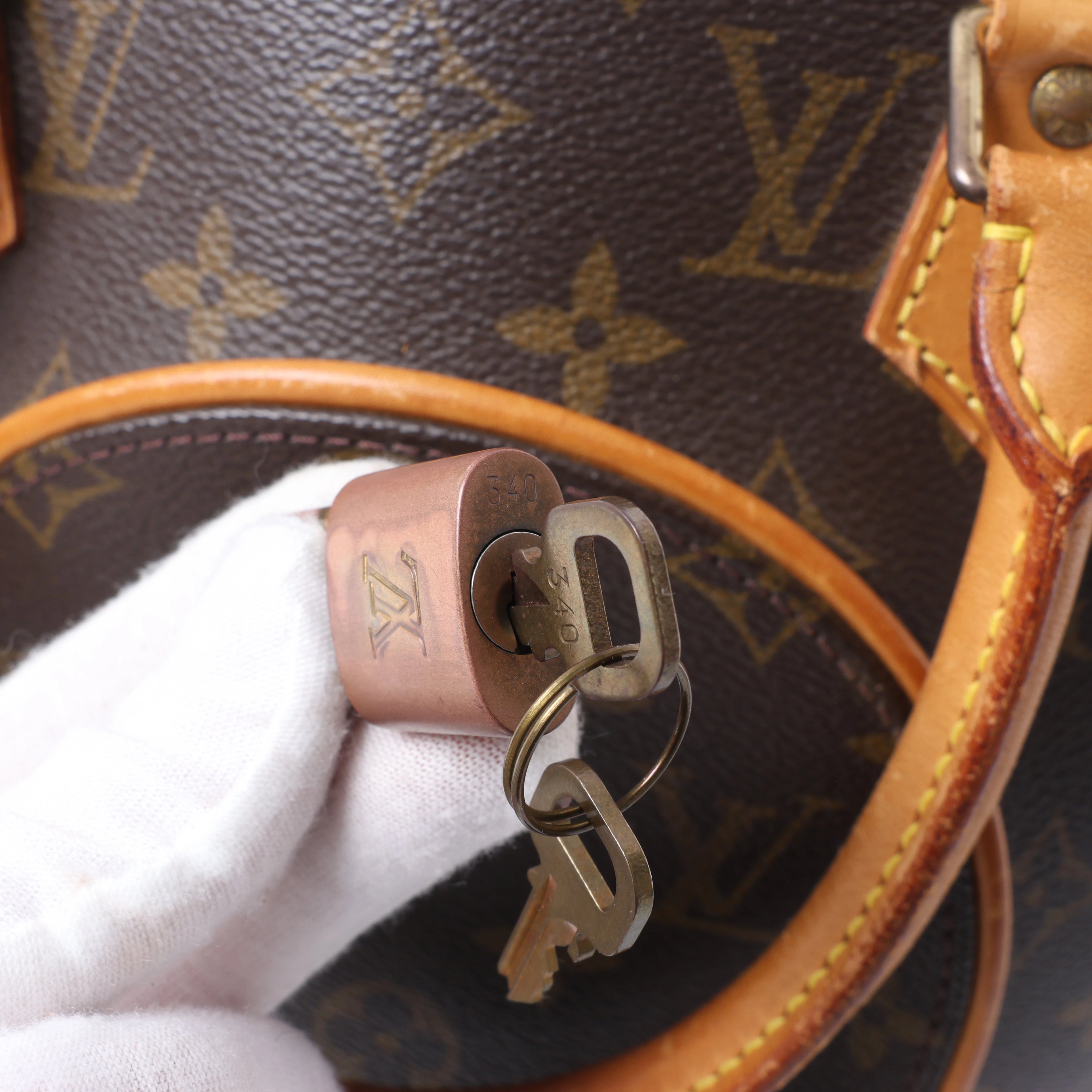 Louis Vuitton Ellipse Monogram PM Handbag in Brown