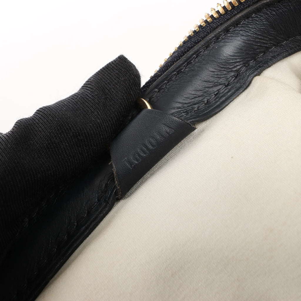 Louis Vuitton Josephine GM Monogram Mini Handbag in Beige x Navy