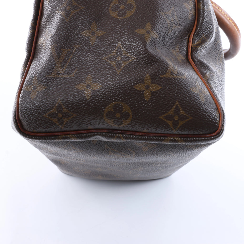 Louis Vuitton Speedy 25 Monogram Handbag in Brown M41528