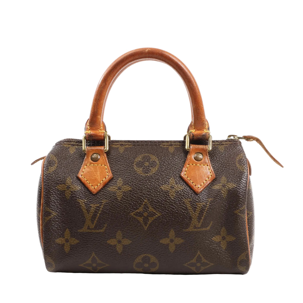 Louis Vuitton Speedy Nano handbag in brown Monogram canvas with natural leather handles and gold-tone hardware, showcasing the iconic LV pattern in a compact size.