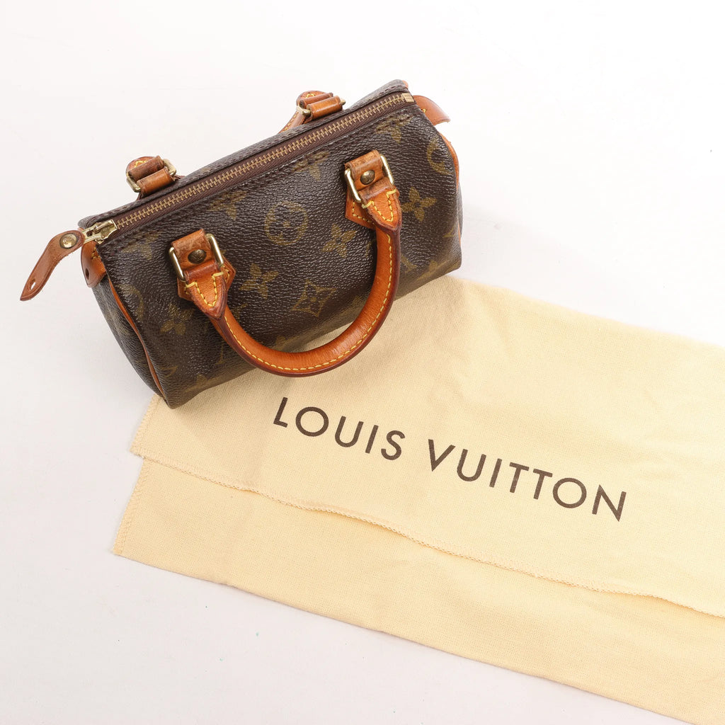 Louis Vuitton Speedy Nano Monogram Handbag in Brown M41534