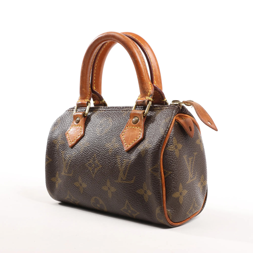 Louis Vuitton Speedy Nano Monogram Handbag in Brown M41534