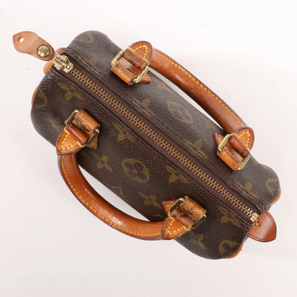 Louis Vuitton Speedy Nano Monogram Handbag in Brown M41534