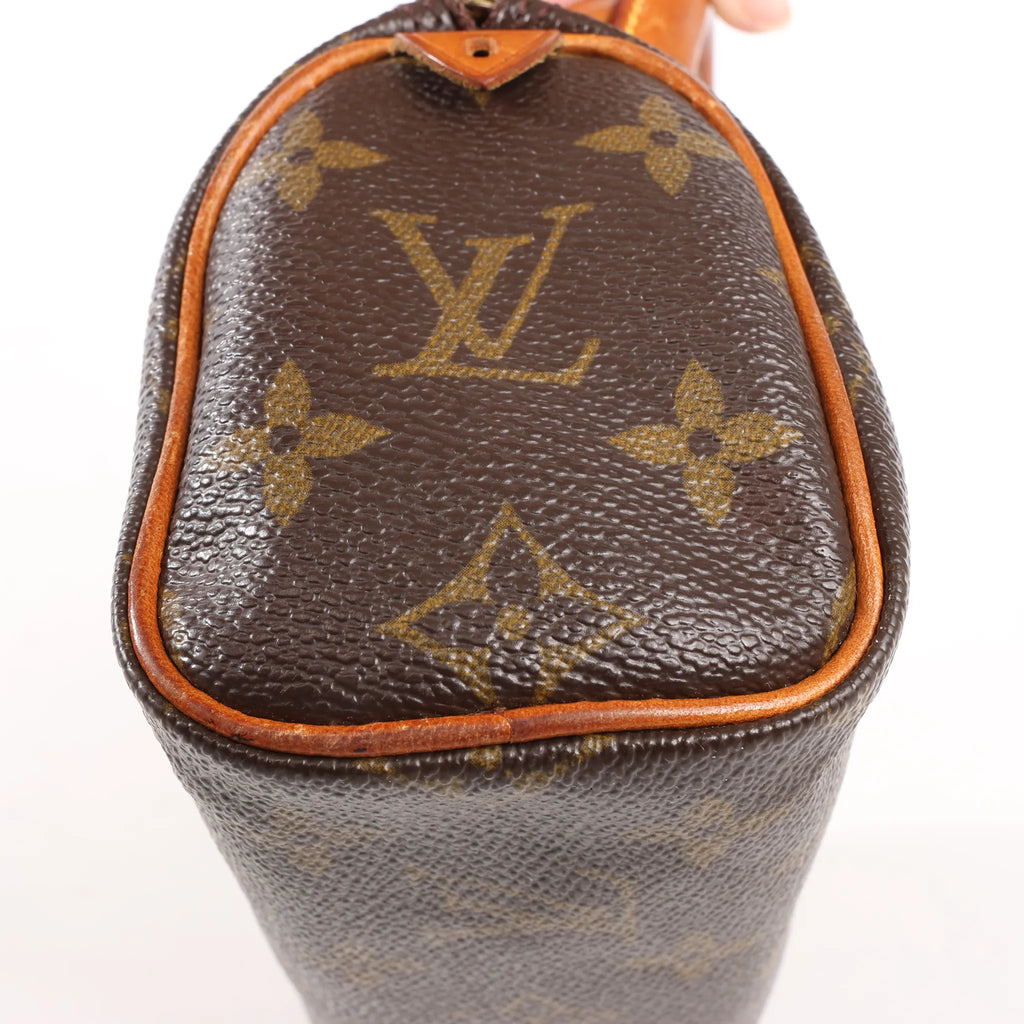 Louis Vuitton Speedy Nano Monogram Handbag in Brown M41534