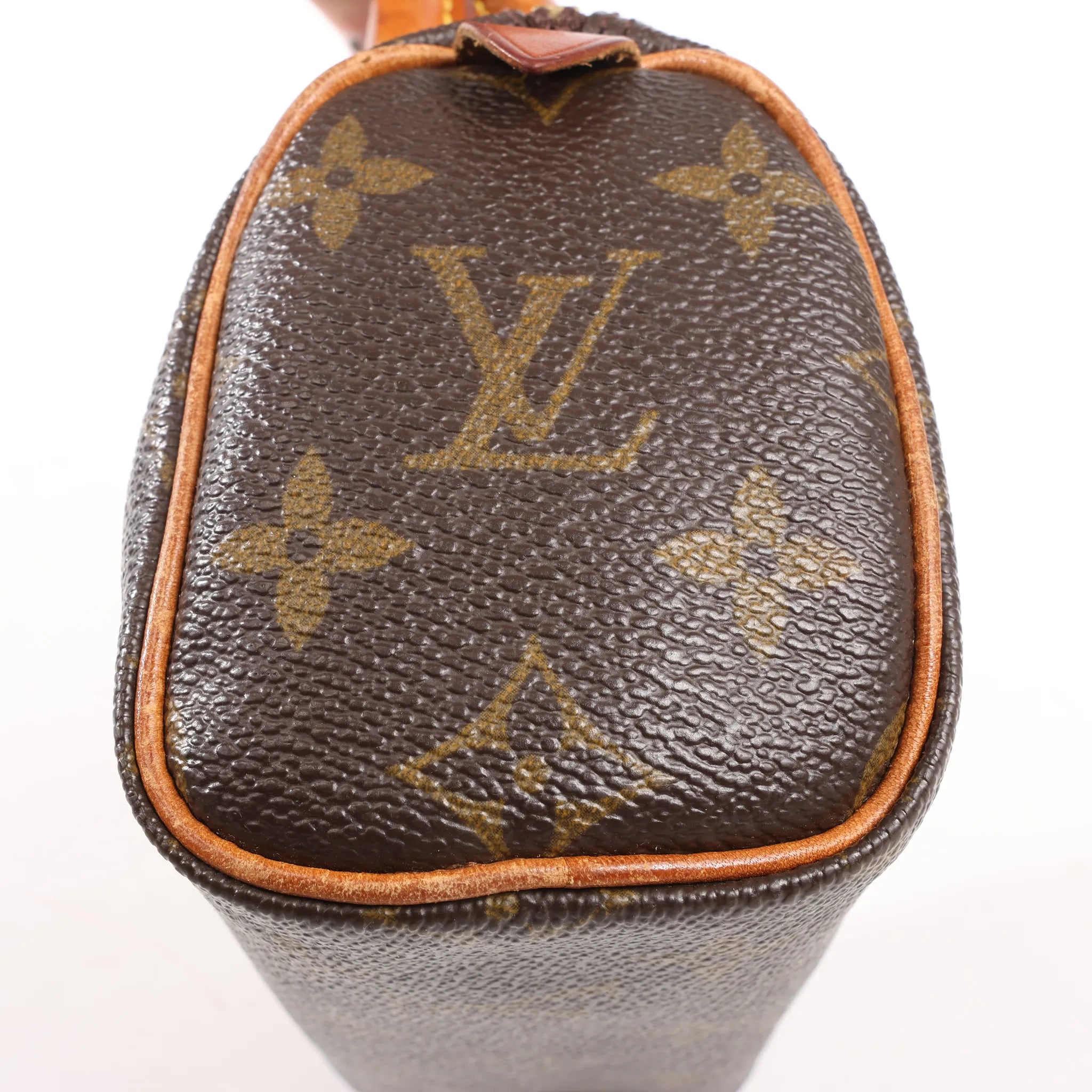 Louis Vuitton Speedy Nano Monogram Handbag in Brown M41534