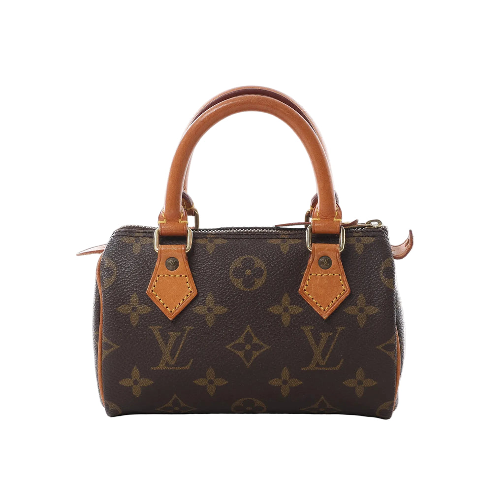 Louis Vuitton Speedy Nano handbag in brown Monogram canvas with natural leather top handles, gold-tone hardware and zip-top closure, displayed against a white background.