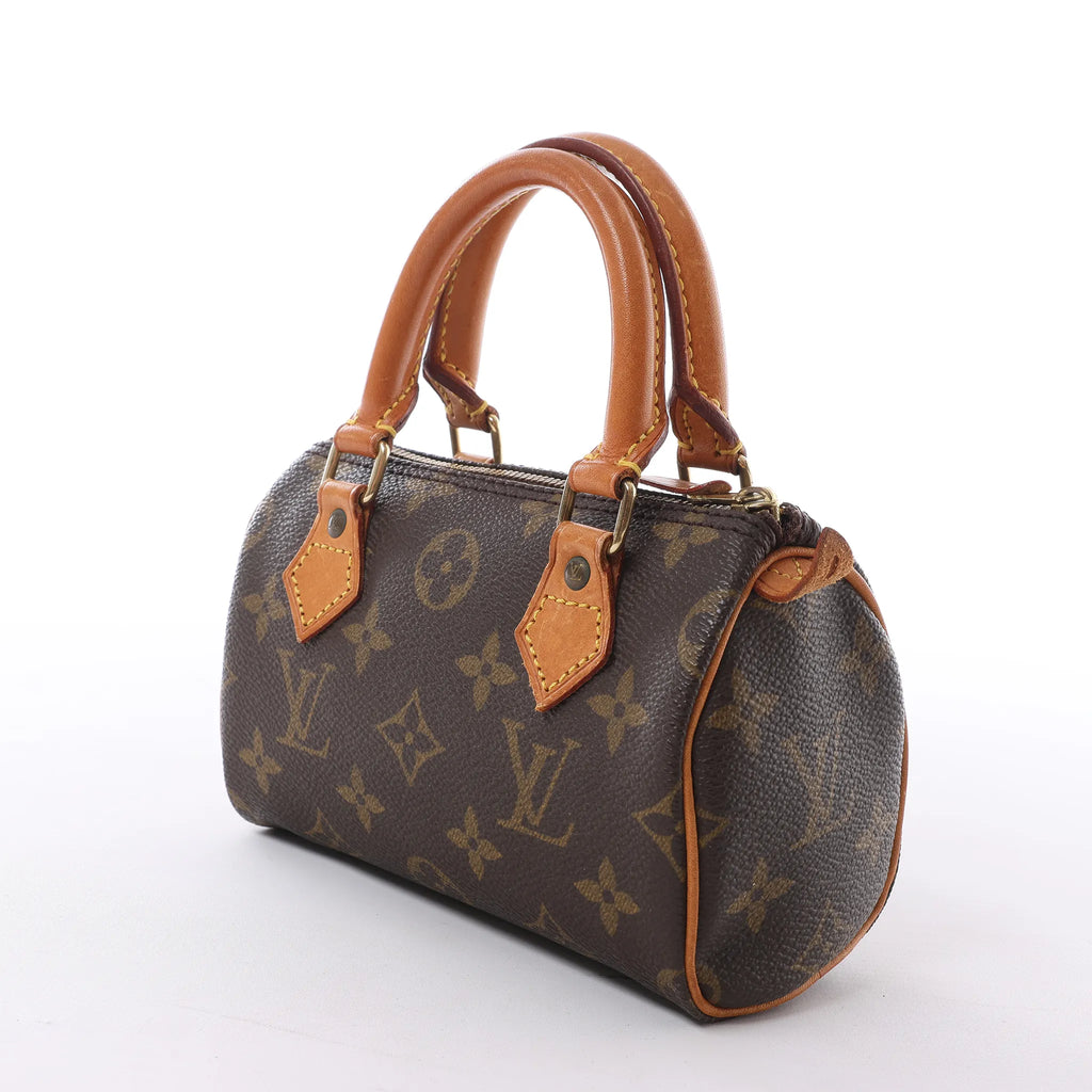 Louis Vuitton Speedy Nano Monogram Handbag in Brown M41534