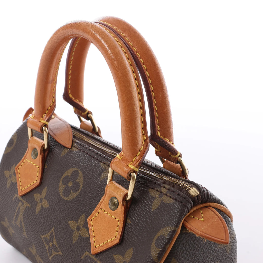 Louis Vuitton Speedy Nano Monogram Handbag in Brown M41534