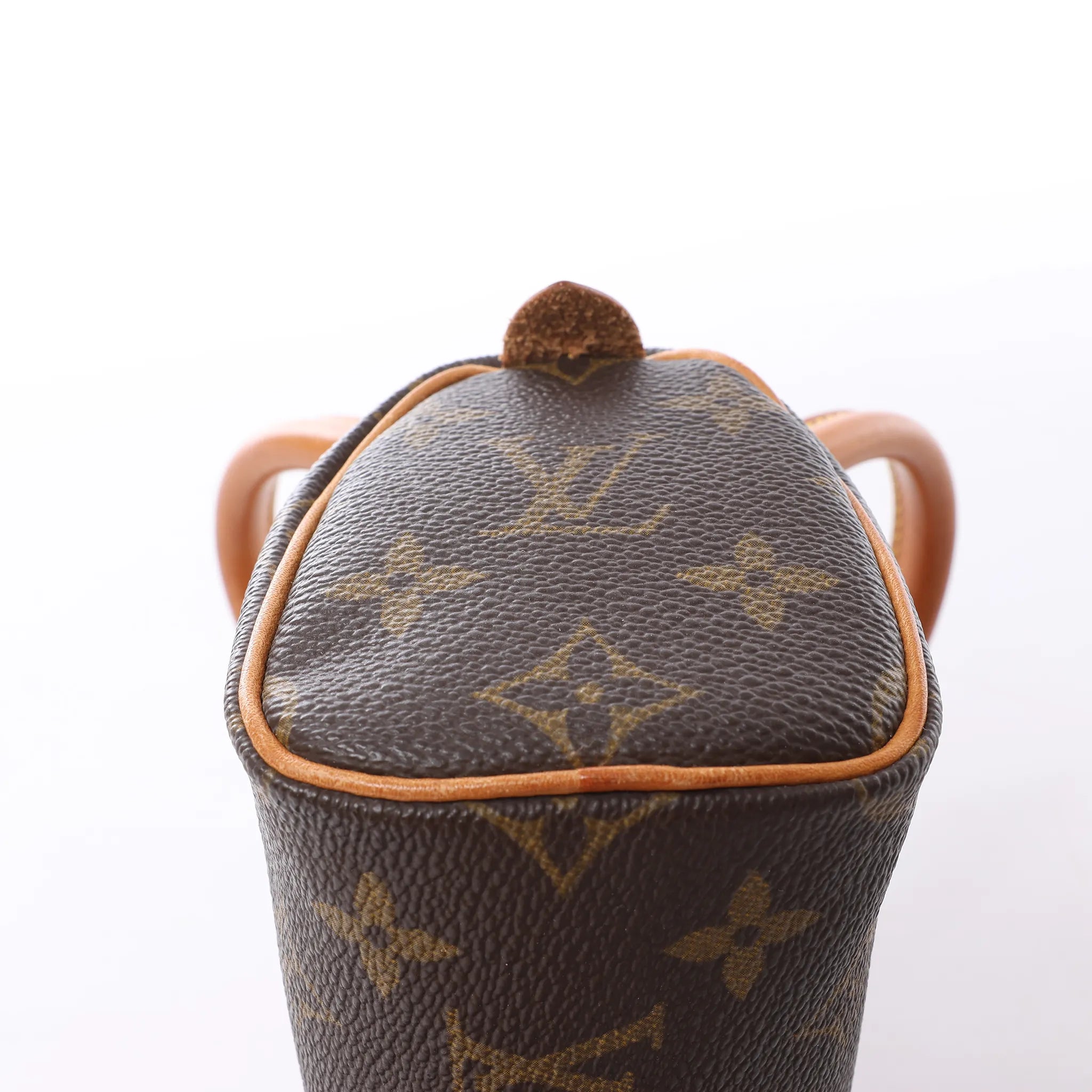 Louis Vuitton Speedy Nano Monogram Handbag in Brown M41534