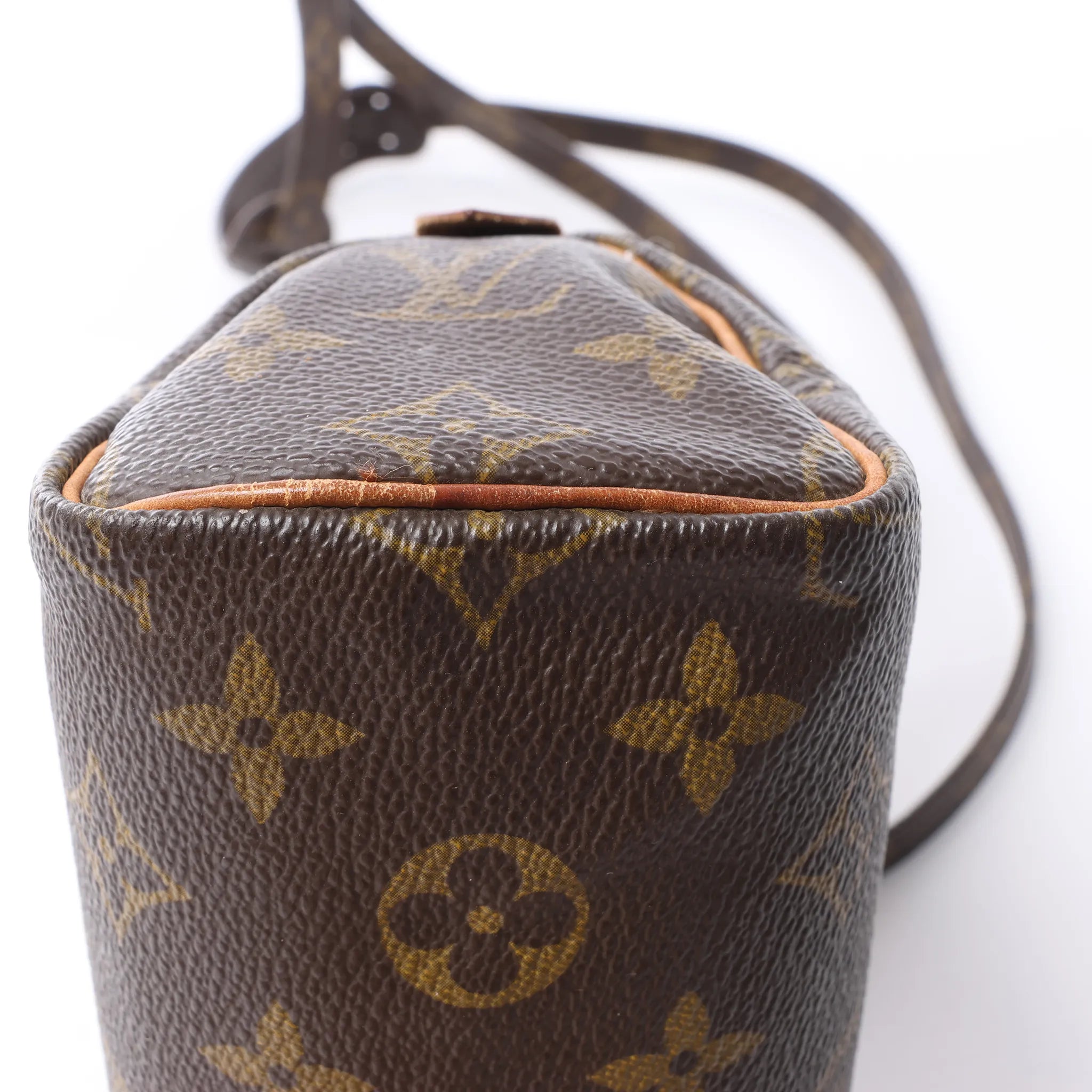 Louis Vuitton Speedy Nano Monogram 2Way Handbag in Brown M41534