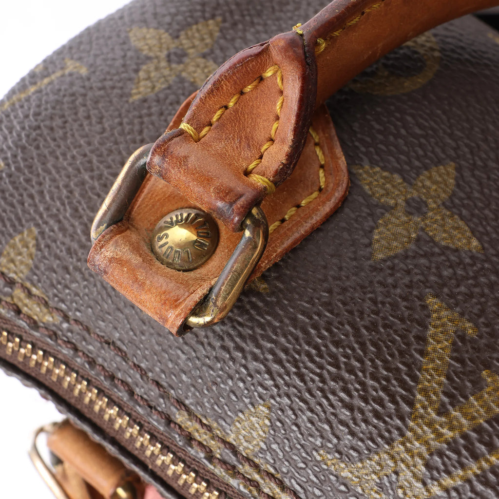 Louis Vuitton Speedy Nano Monogram 2Way Handbag in Brown M41534
