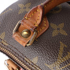Louis Vuitton Speedy Nano Monogram 2Way Handbag in Brown M41534