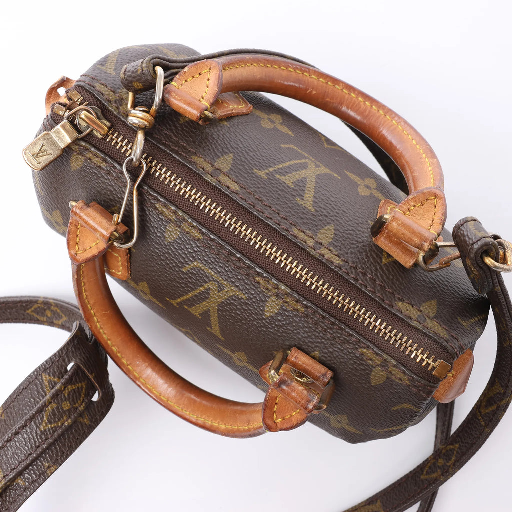 Louis Vuitton Speedy Nano Monogram 2Way Handbag in Brown M41534