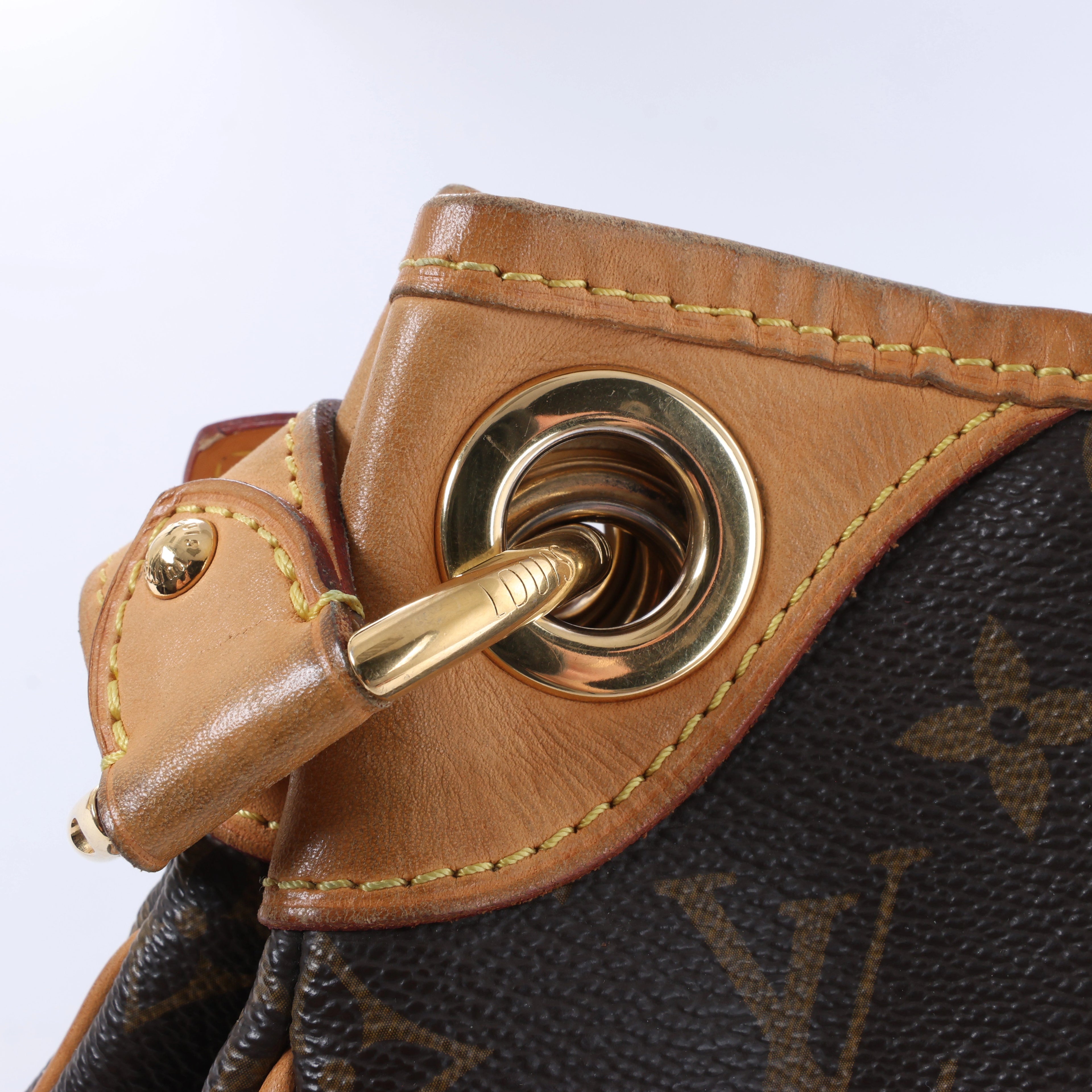 Louis Vuitton Monogram Galliera PM Shoulder Bag in Brown