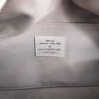 Louis Vuitton Comete Limited Edition Monogram Shoulder Bag in Shimmer Silver