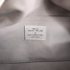 Louis Vuitton Comete Limited Edition Monogram Shoulder Bag in Shimmer Silver